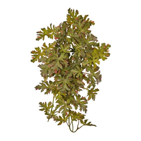 CASCANTE PELARGONIUM CM 40 ROS